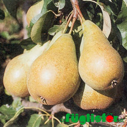 Zurück