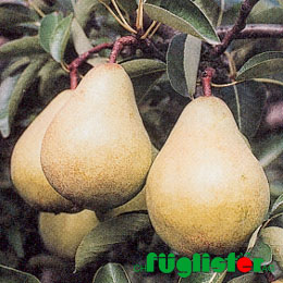Zurck